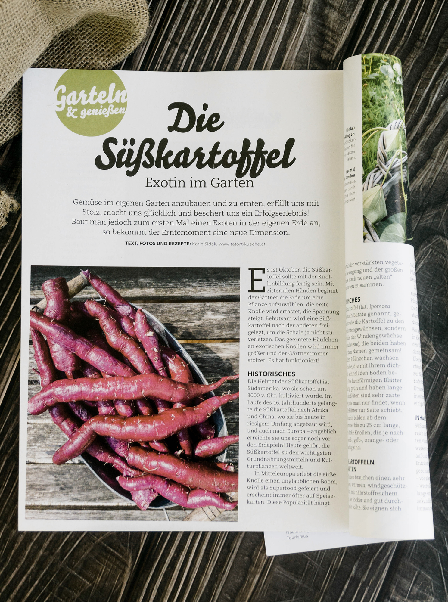 Kochen und Küche Süßkartoffel Cover Einstieg