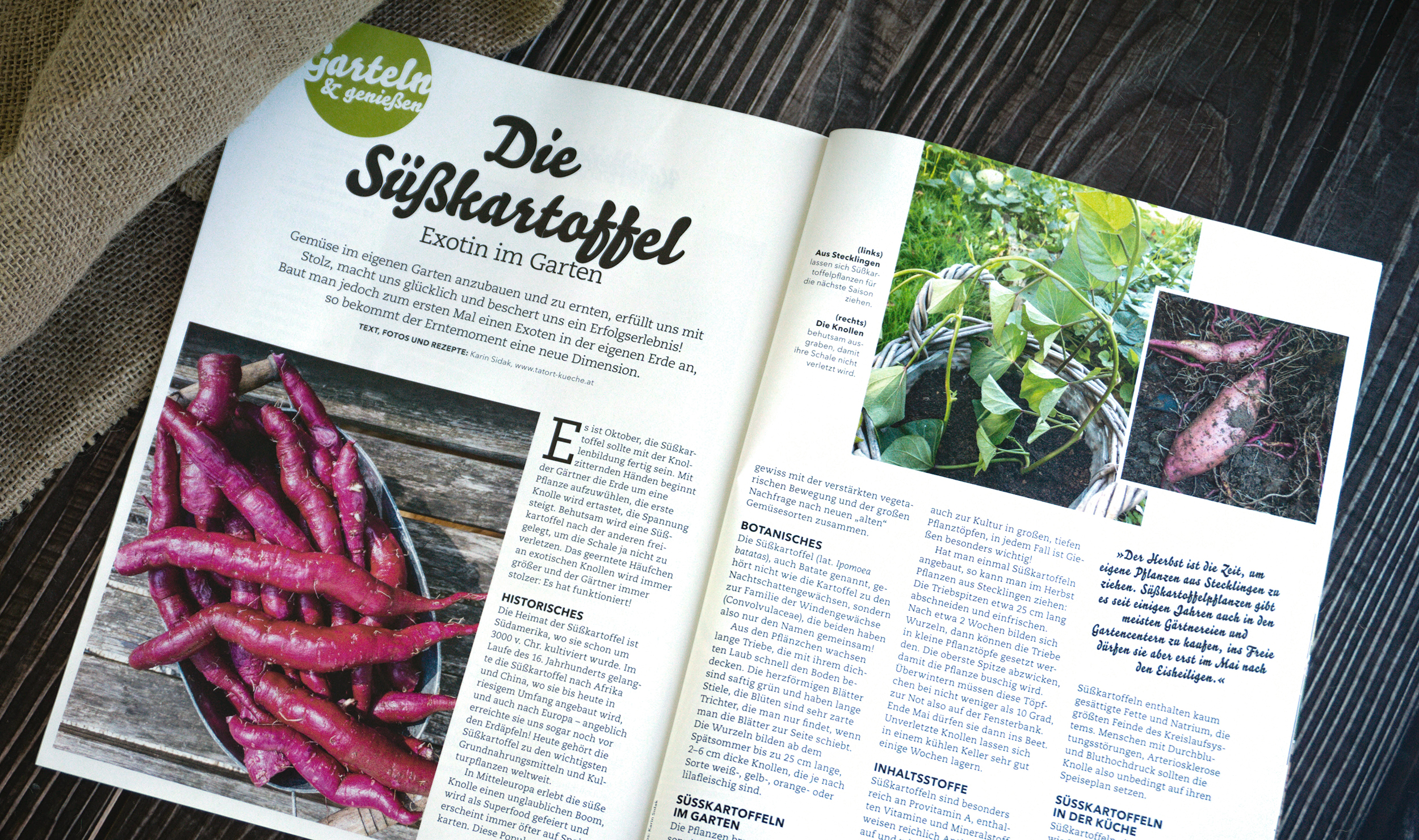 Kochen und Küche Süßkartoffel Doppelseite