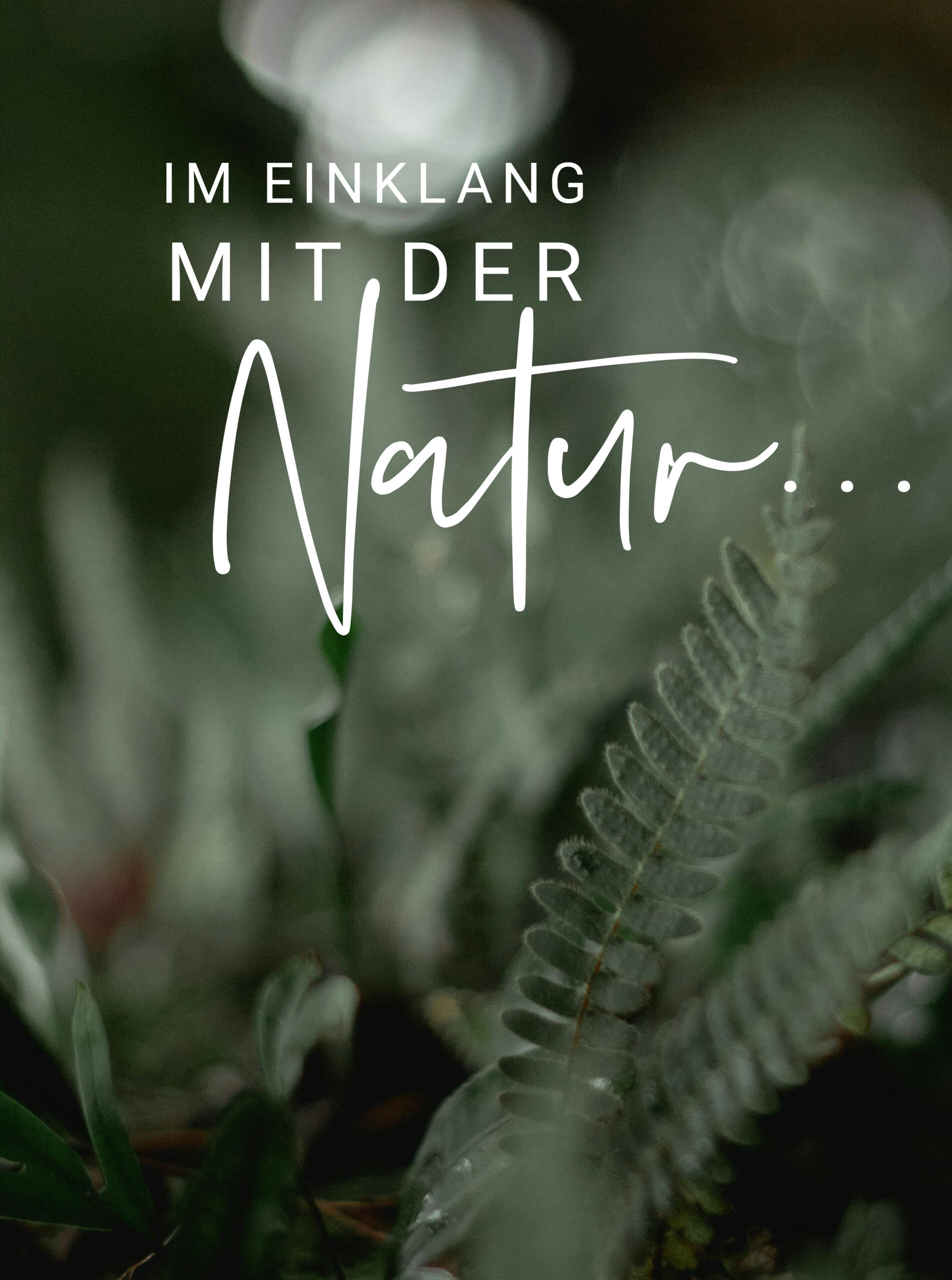 Grünes Blatt im Fokus mit der Aufschrift ‚Im Einklang mit der Natur‘ – eine Botschaft der Ruhe und Naturverbundenheit.