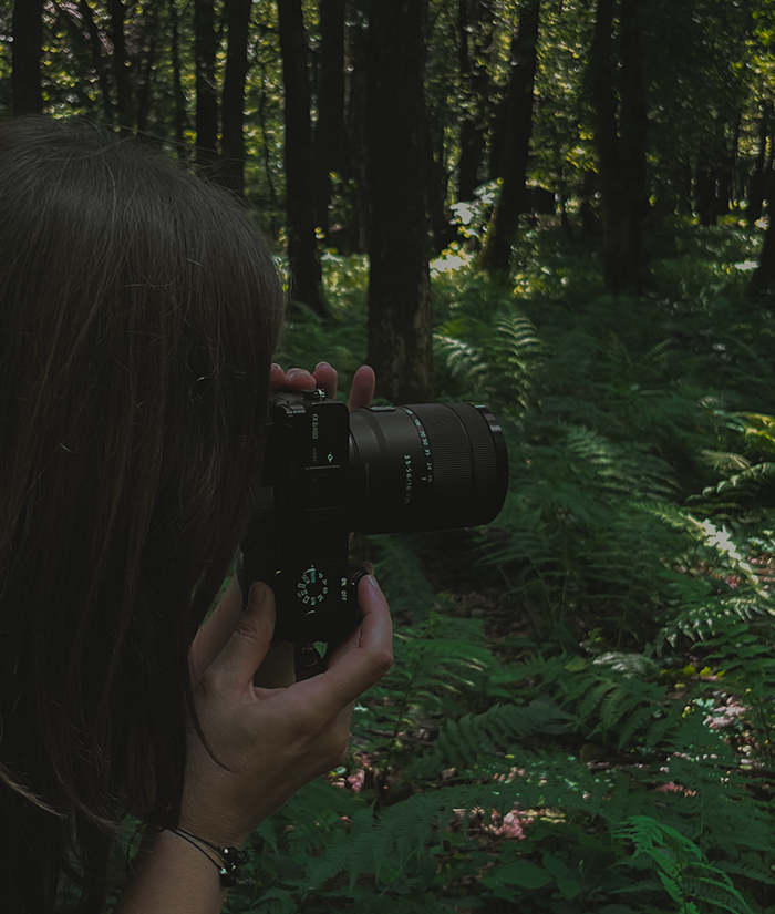 Farbgefühl Services Fotografie