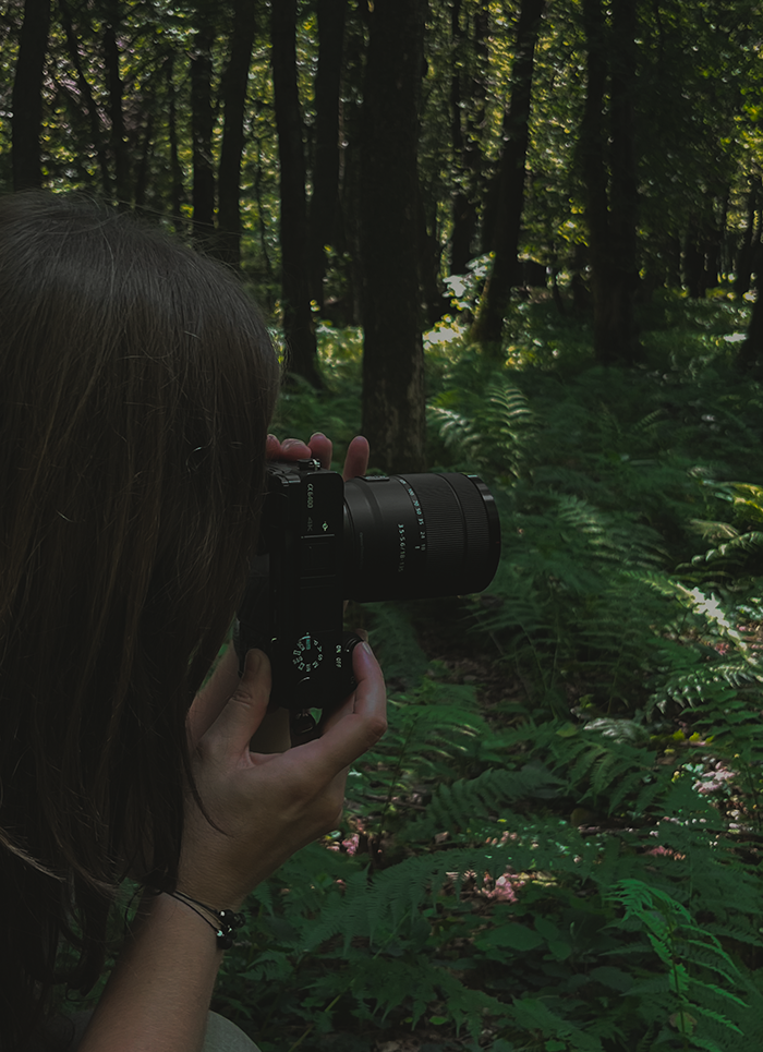 Farbgefühl Services Fotografie
